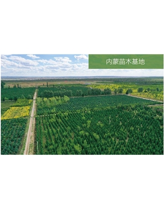 標題：苗木基地
瀏覽次數：1936
發(fā)表時(shí)間：2020-10-17