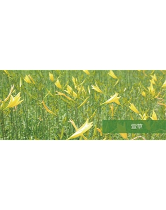 標題：地被
瀏覽次數：1803
發(fā)表時(shí)間：2020-10-17