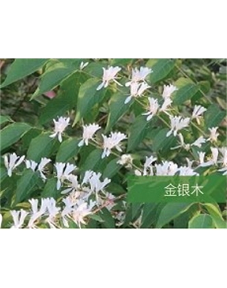 標題：?jiǎn)坦嗄?瀏覽次數：1436
發(fā)表時(shí)間：2020-10-17
