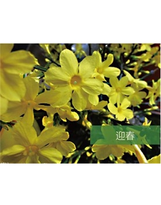 標題：?jiǎn)坦嗄?瀏覽次數：1352
發(fā)表時(shí)間：2020-10-17