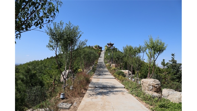 標(biāo)題：張家口太子山山體修復(fù)
瀏覽次數(shù)：17919
發(fā)表時(shí)間：2020-11-12
